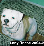 Lady Reese 2004-2015